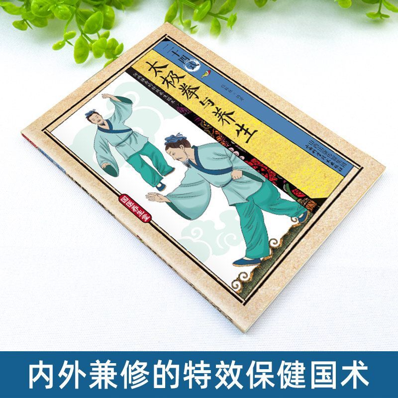 24 Estilos de Tai Chi y Ejerci - Health & Wellness Retailers reseña y precio