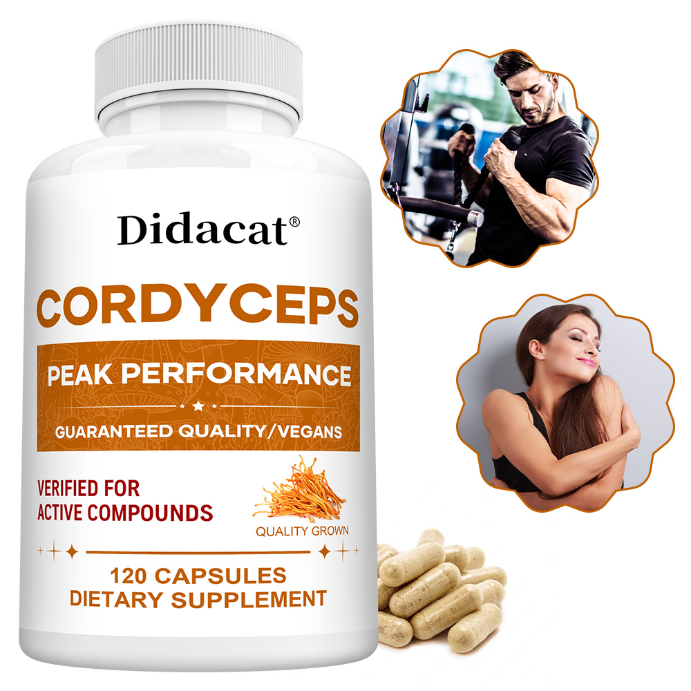Cápsulas de hongos Cordyceps 1 - Health Wellness & Psychology reseña y precio