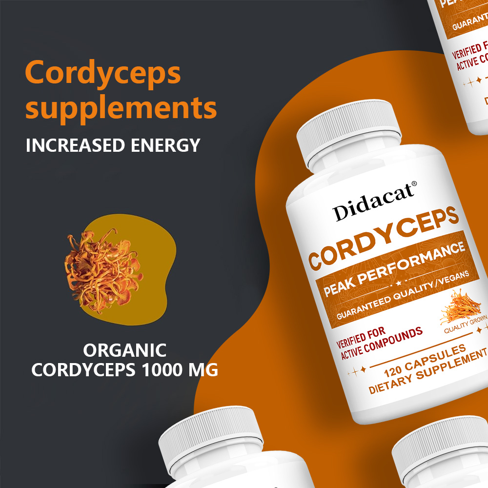 Cápsulas de hongos Cordyceps 1 - Health Wellness & Psychology reseña y precio