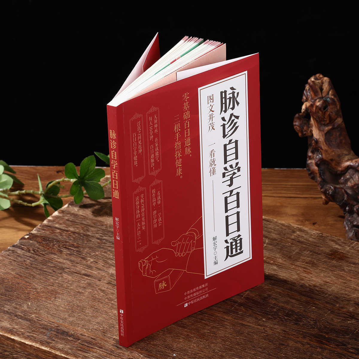 Libro de autoestudio sobre dia - Health & Wellness Retailers reseña y precio