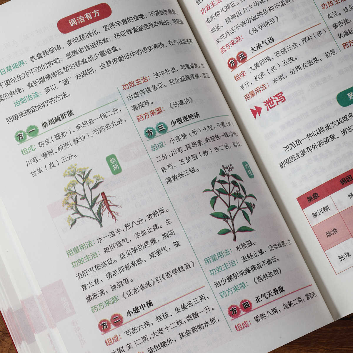 Libro de autoestudio sobre dia - Health & Wellness Retailers reseña y precio