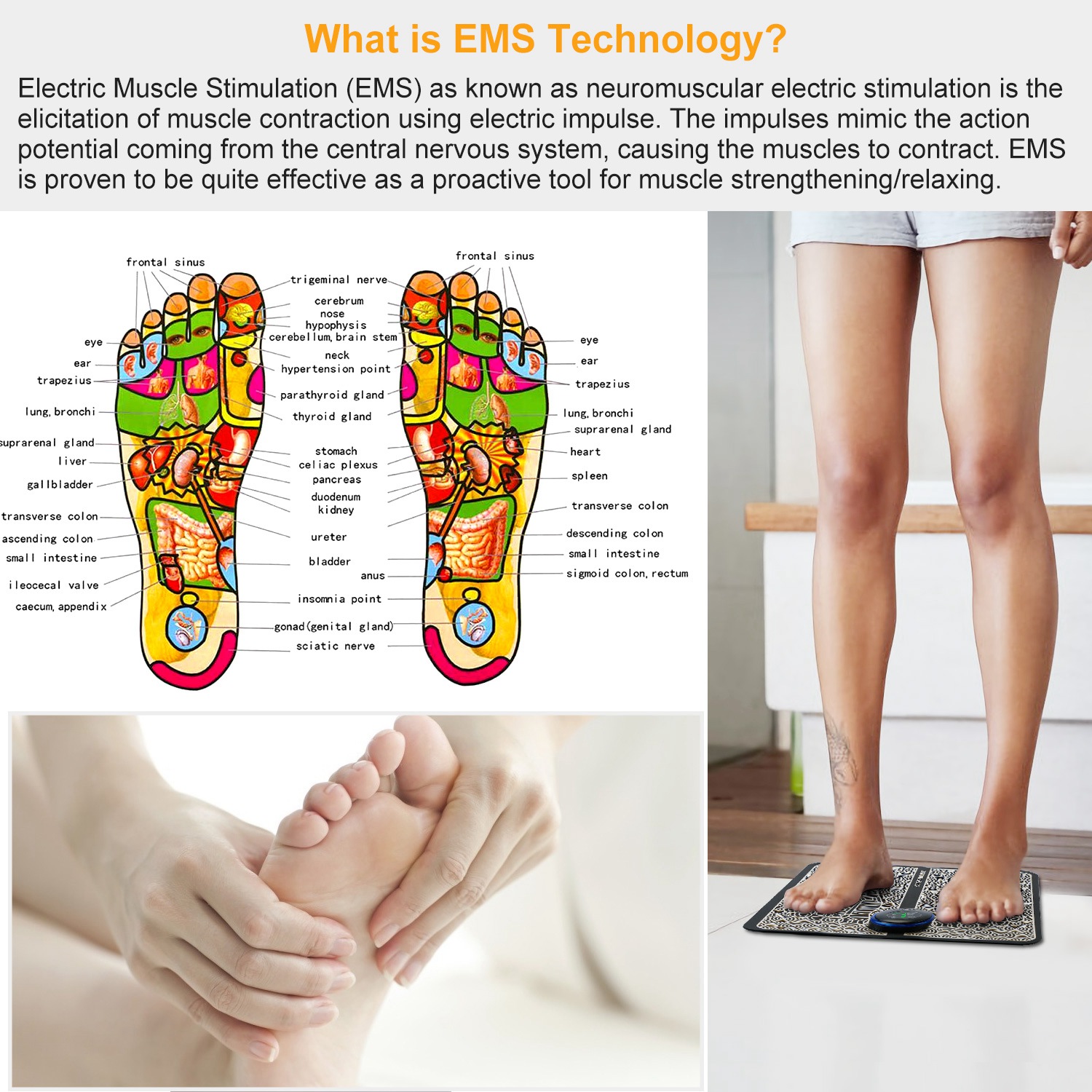 Máquina de masaje de pies, mas - Ems Foot Massager reseña y precio